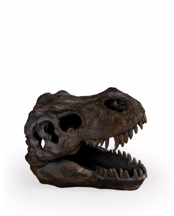 Interjero dekoracija "T-REX SKULL S"